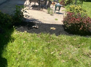 Mulching by Joseph Cooper for Michael B. in Columbus, OH