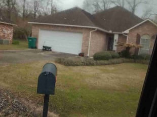 Bush Trimming by Gregory Lewis for Cecil B. in Denham Springs, LA