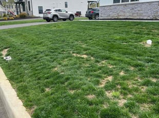Jennifer T.'s Yard Cutting service result