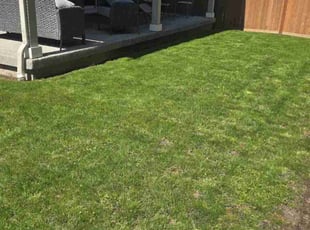 John w.'s Lawn Care service result