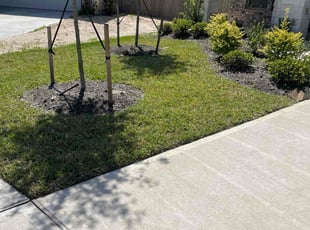 Shawn W.'s Lawn Maintenance service result
