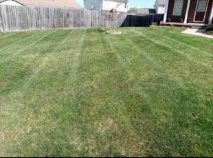 Bush Trimming by Chris Coleman for Richard H. in Cincinnati, OH