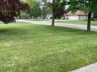 Carolyn S.'s Lawn Mowing Service service result