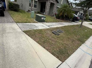 Robert D.'s Lawn Mowing service result