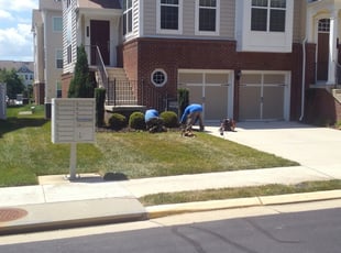 Bush Trimming by Jim Crossett for Edward S. in Chantilly, VA