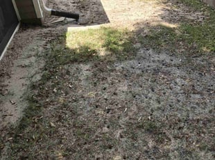 Leaf Removal by Nathaniel Baker for Juanita S. in Pensacola, FL
