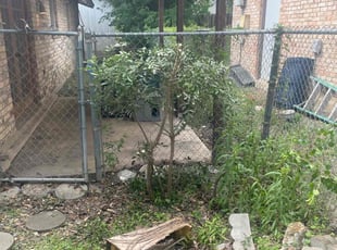 Bush Trimming by Beau Kirtner for Morgan B. in San Antonio, TX
