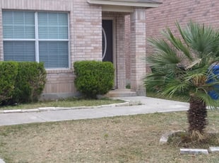 Bush Trimming by Jason Salazar for Apefa C. in San Antonio, TX