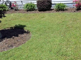 Weeding by Kelvin Gooding for Dan S. in Virginia Beach, VA