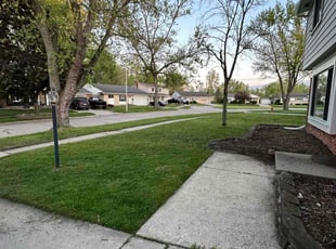 Donna B.'s Yard Cutting service result