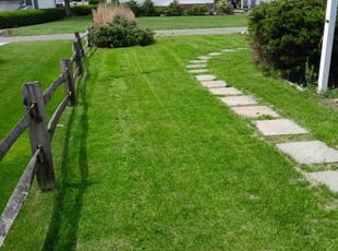 Michael B.'s Lawn Mowing Service service result