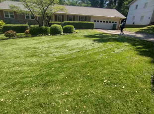 Mike C.'s Lawn Service service result