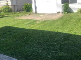 Bush Trimming by Arturo Estrada Garcia for Paul H. in Chicago, IL