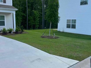 Shannon B.'s Lawn Maintenance service result