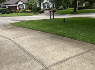 Michelle K.'s Grass Cutting service result