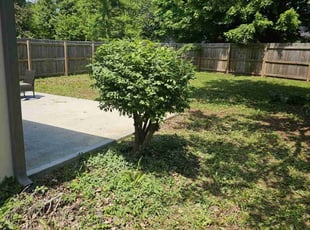 Bush Trimming by Luke Beazley for Rebeca M. in Overland Park, KS