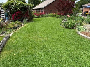 Rafael R.'s Lawn Mowing service result