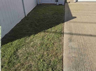 Awareness H.'s Grass Cutting service result