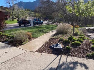 Bush Trimming by Todd Barns for Jeffery F. in Colorado Springs, CO