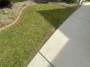 Mrs Alfreda H.'s Yard Cutting service result