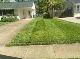 Monica W.'s Lawn Service service result
