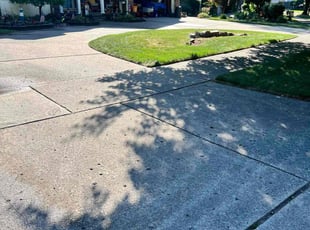 Steve R.'s Lawn Mowing service result