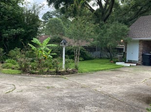 Colin L.'s Lawn Care service result