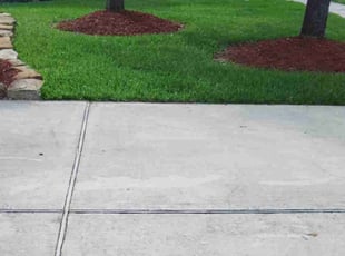 Anthony P.'s Lawn Maintenance service result