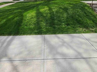 Timothy J.'s Lawn Mowing service result
