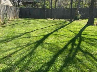 Braylon J.'s Lawn Mowing Service service result