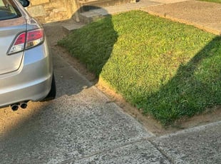 LeLita T.'s Lawn Service service result