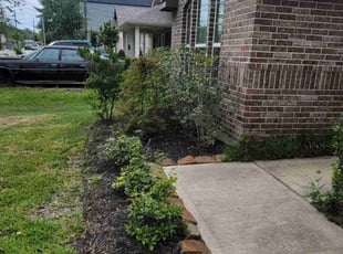 Bush Trimming by Hugo Melgar for Jessica F. in Houston, TX