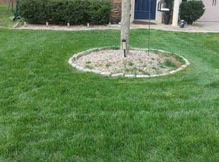 Kay A.'s Lawn Maintenance service result