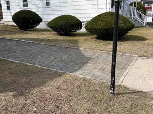Bush Trimming by La Nature for Deirdre O. in Bridgeport, CT
