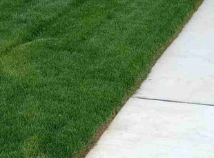 Chester G.'s Lawn Maintenance service result