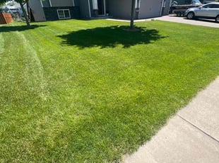 Nancy W.'s Lawn Maintenance service result