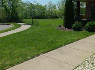 Bethany S.'s Grass Cutting service result