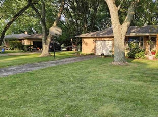 Kelsie D.'s Grass Cutting service result