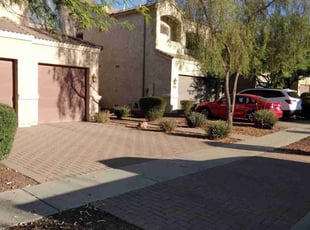 Bush Trimming by Gideon Cook for William V. in Phoenix, AZ