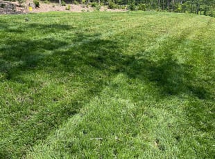 Bina H.'s Grass Cutting service result
