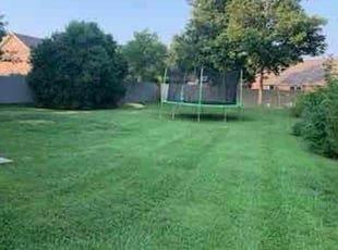 Walterina B.'s Lawn Maintenance service result