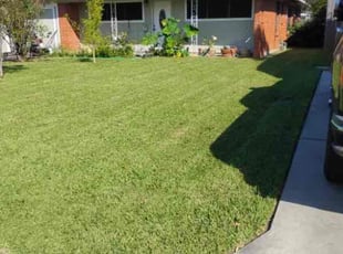 Janell L.'s Lawn Maintenance service result