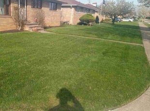 Janet W.'s Lawn Maintenance service result