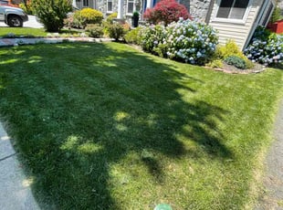 Christopher Y.'s Grass Cutting service result