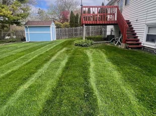 Daniel F.'s Lawn Care service result