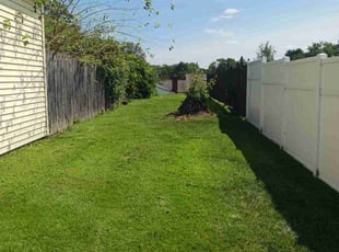 Tracy L.'s Grass Cutting service result