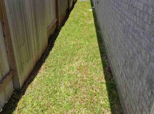 Shannan A.'s Lawn Maintenance service result