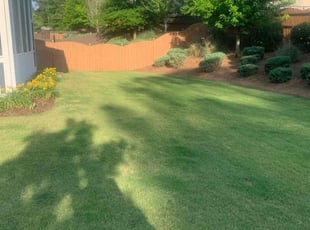 Joseph M.'s Grass Cutting service result