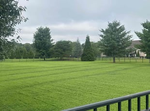 Jessica F.'s Lawn Care service result