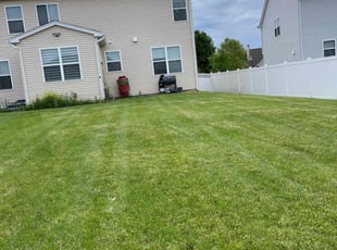Lynn N.'s Lawn Care service result